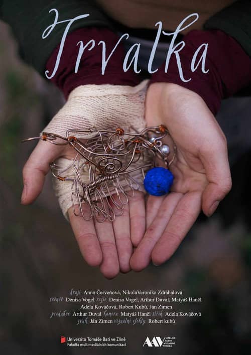 Trvalka