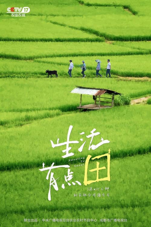生活有点“田”
