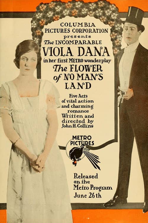 The Flower of No Man's Land
