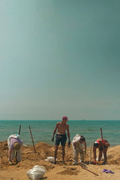 The Last Camp