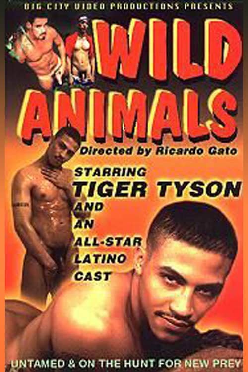 Wild Animals