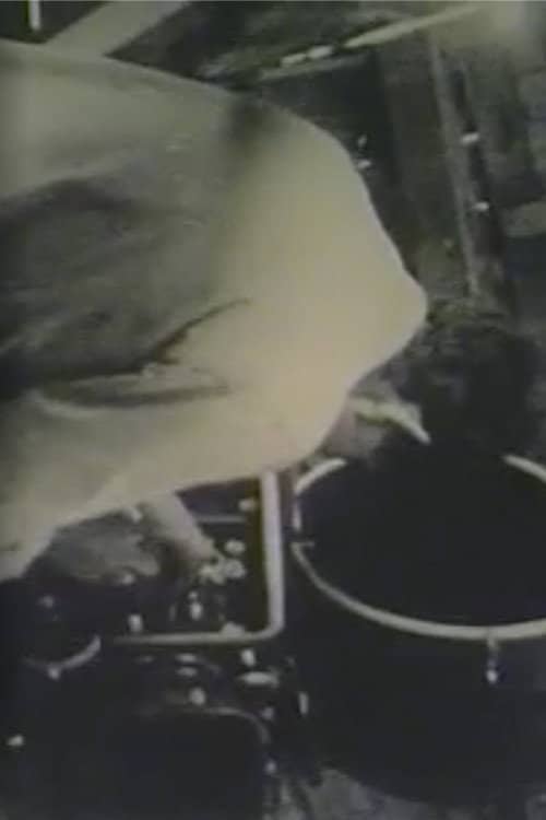 Robert Frank Films