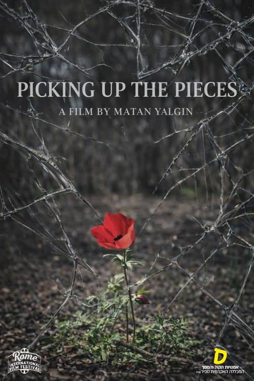 Picking Up the Pieces