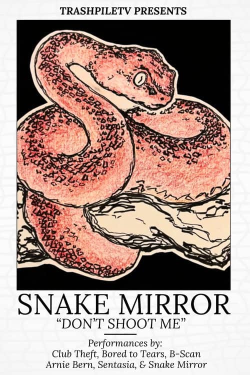 Don't Shoot Me: The Snake Mirror Weekend Tour