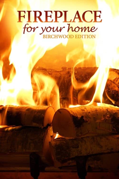 Fireplace for Your Home Crackling Birchwood