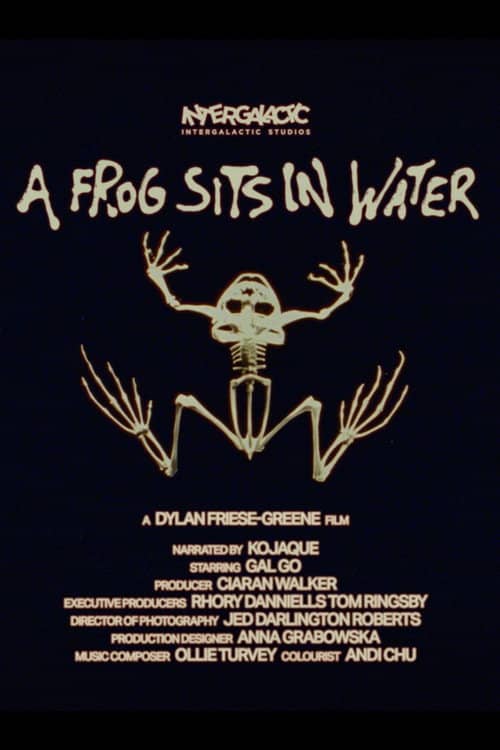 A Frog Sits In Water