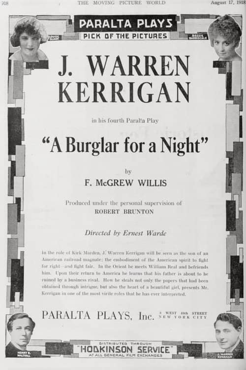 A Burglar for a Night