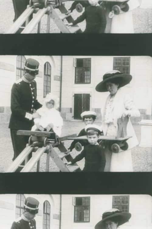 The Crown Prince Couple at Drottningholm