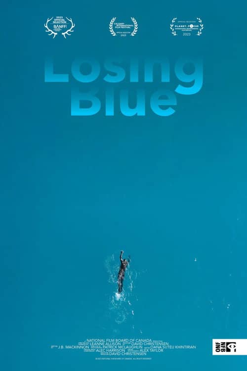 Losing Blue
