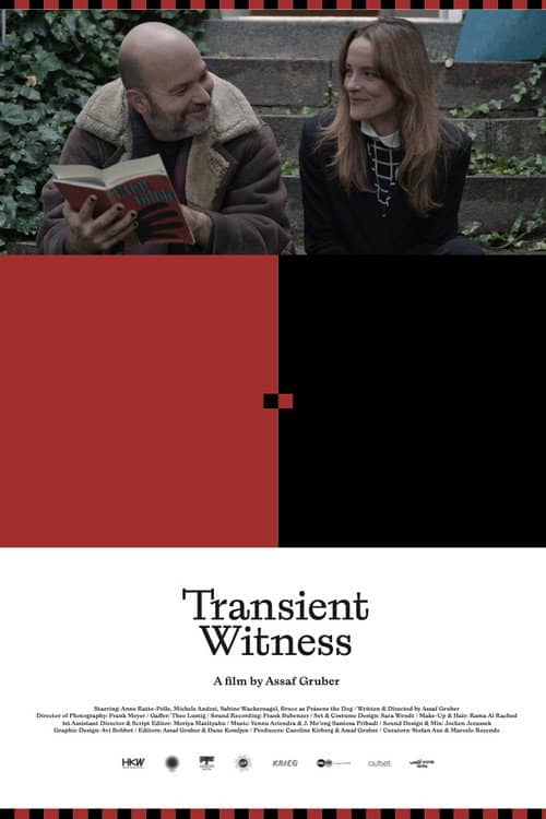 Transient Witness