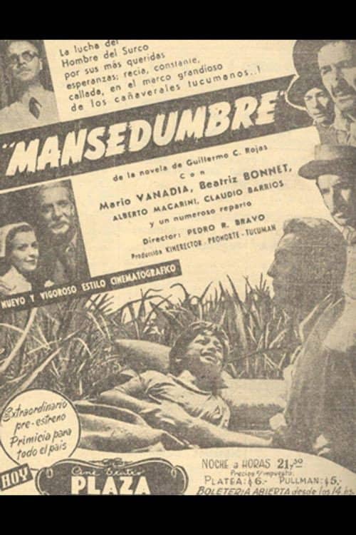 Mansedumbre