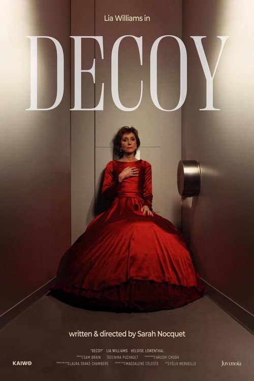 Decoy