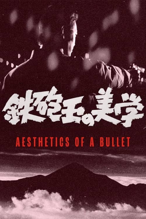 Aesthetics of a Bullet