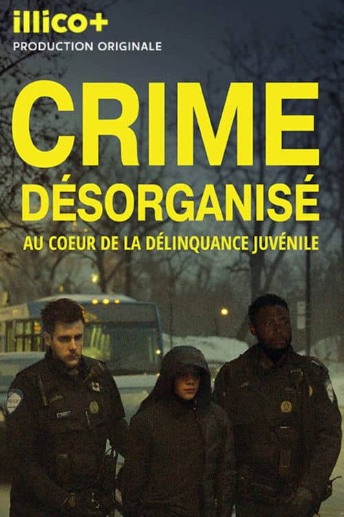 Crime désorganisé: au cœur de la délinquance juvénile
