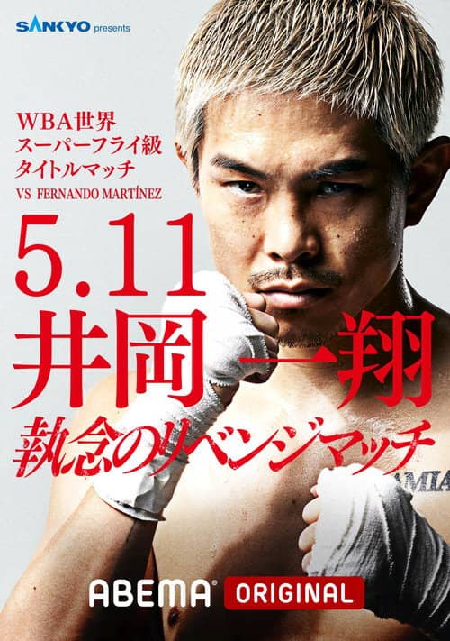 Fernando Martinez vs. Kazuto Ioka 2