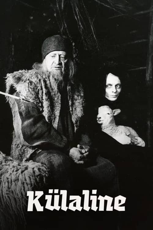 The Visitor
