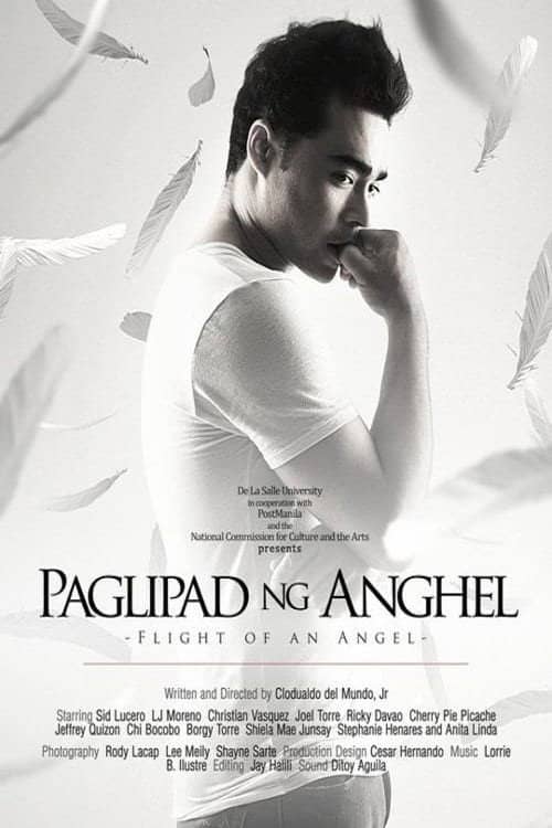 Flight of an Angel