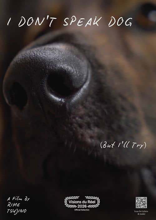 I Don't Speak Dog (But I'll Try)