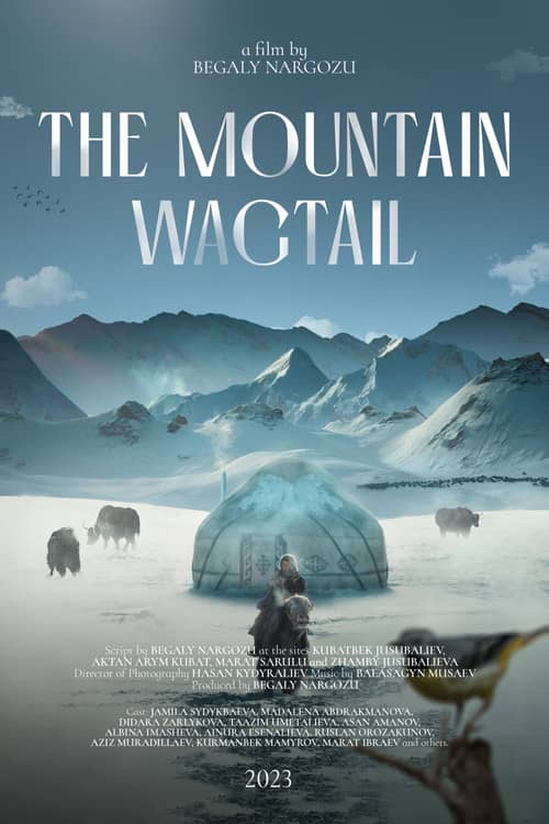 The Mountain Wagtail