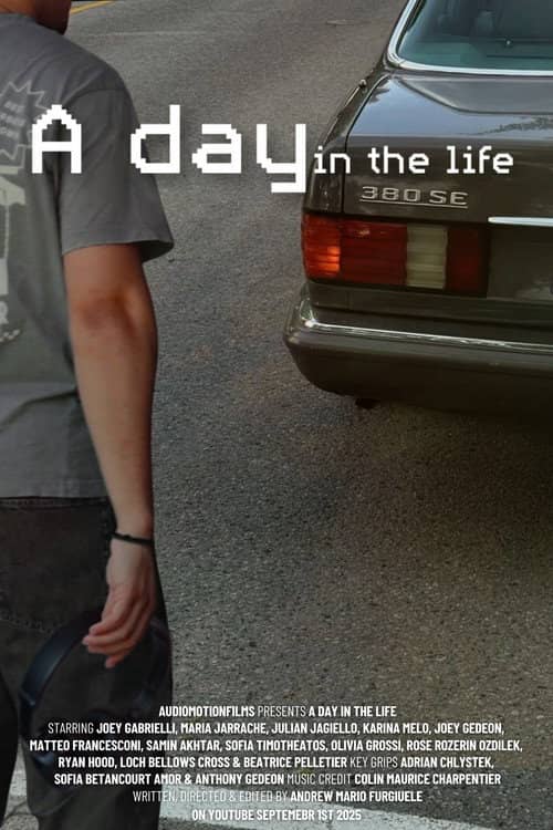 A day in the life