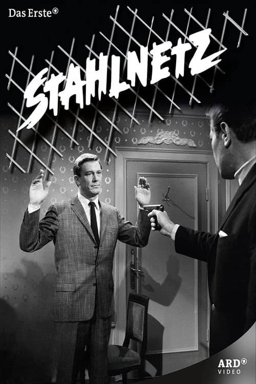Stahlnetz