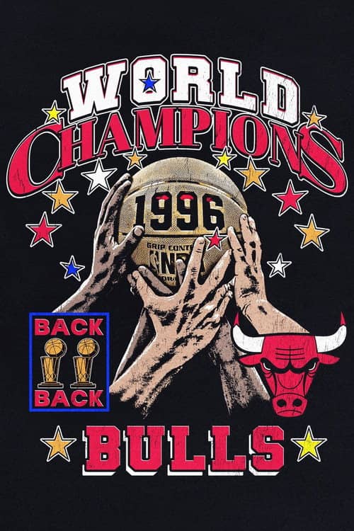 The 1996 NBA Finals