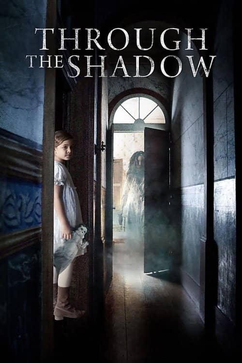 Through the Shadow