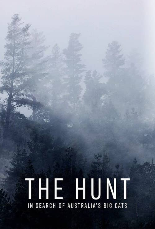 The Hunt: In Search of Australia's Big Cats
