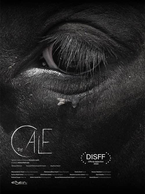 The Calf