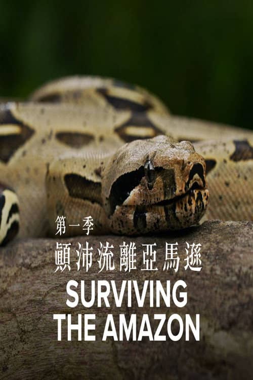 Surviving the Amazon