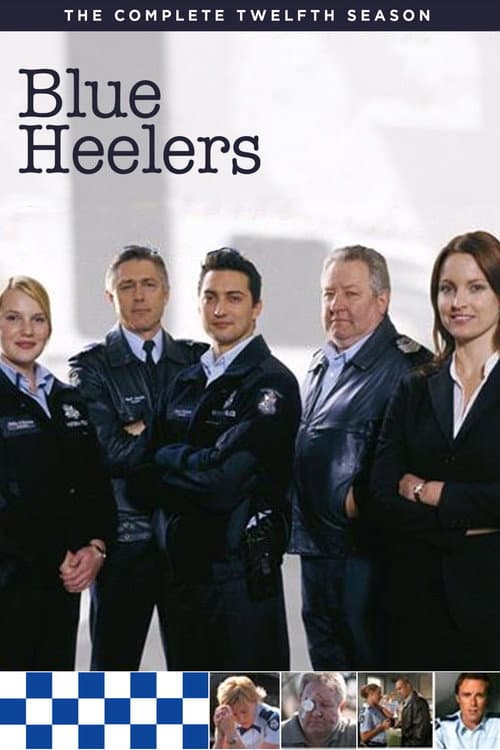 Blue Heelers Season 12 poster