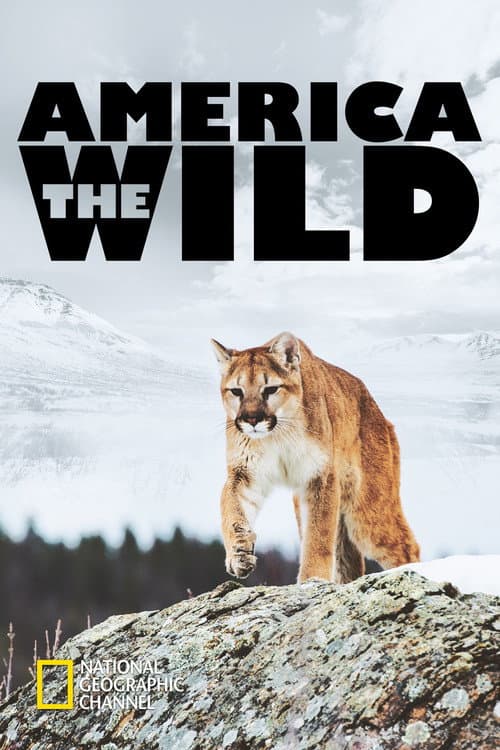 America the Wild with Casey Anderson Season 1 poster