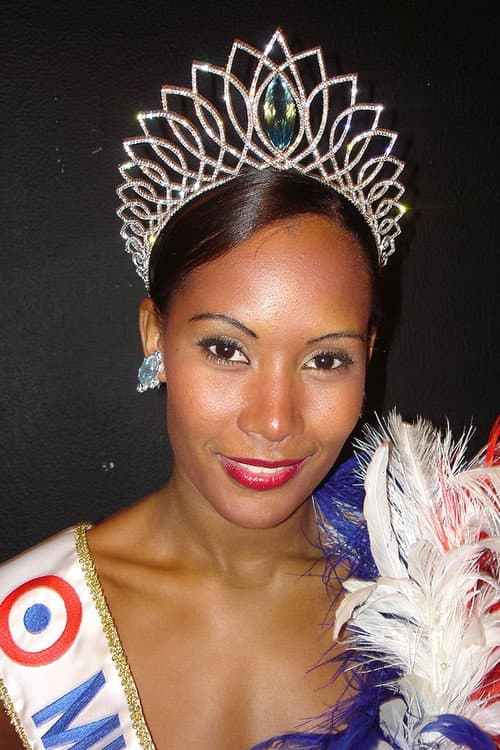 Miss France Season 16 poster