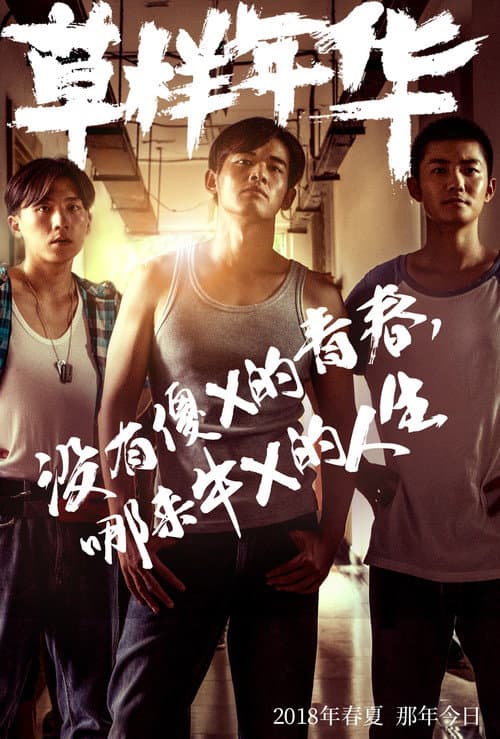 草样年华 Season 1 poster