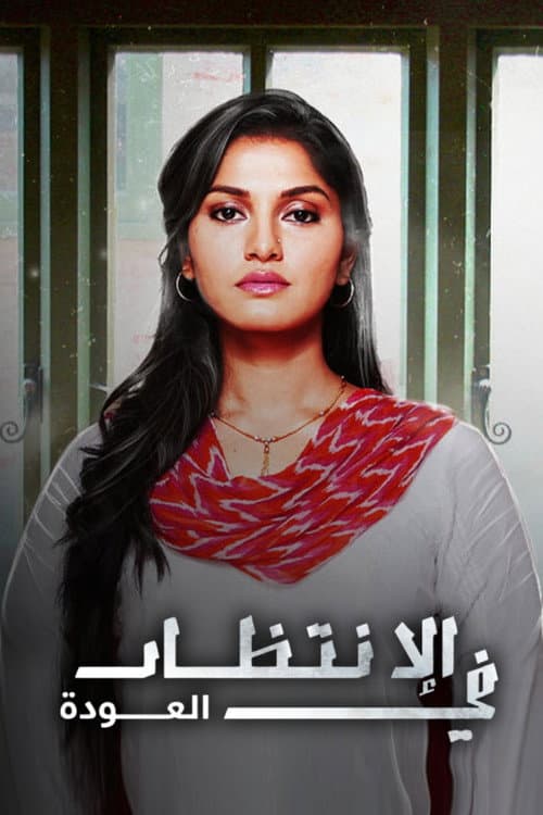 Aadhe Adhoore Season 1 poster
