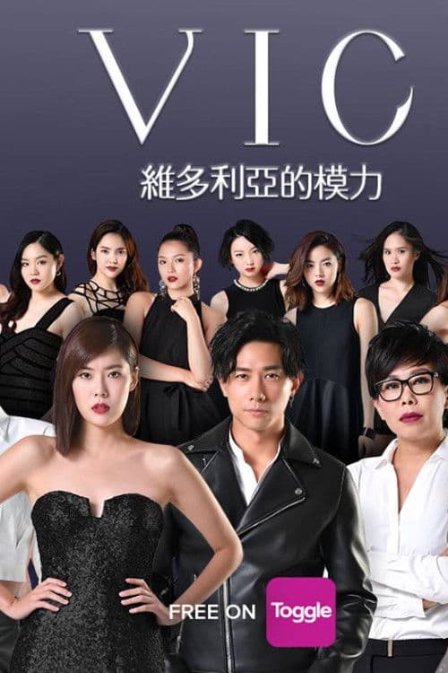 VIC Season 1 poster