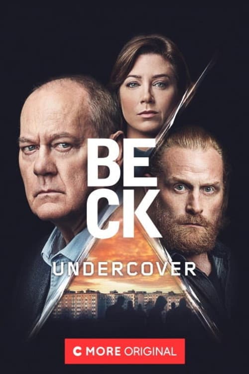 Beck Season 8 poster