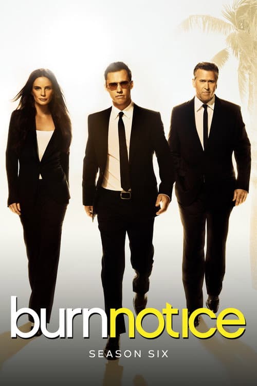 Burn Notice Season 6 poster