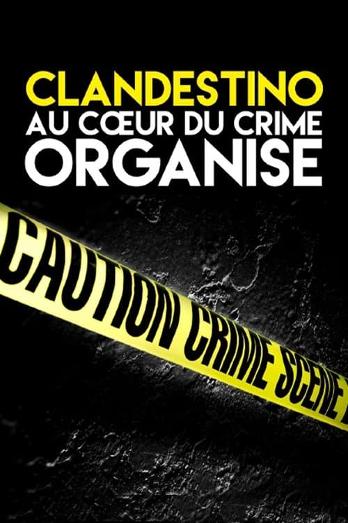 Clandestino Season 3 poster