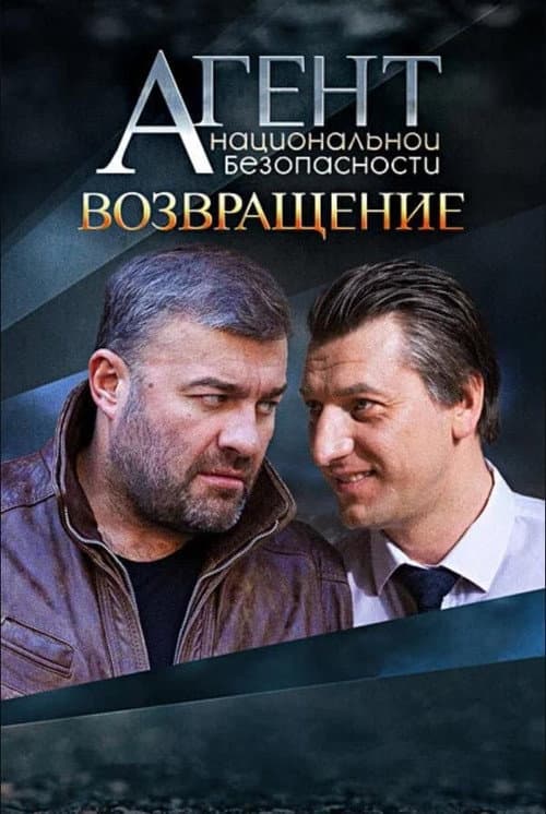National Security Agent Season 6 poster