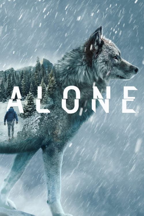 Alone Arctic Circle poster