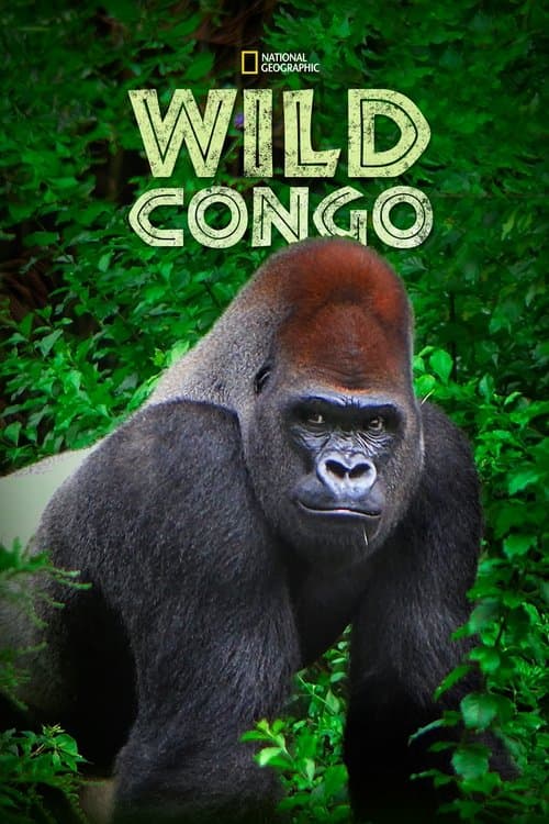 Wild Congo Season 1 poster