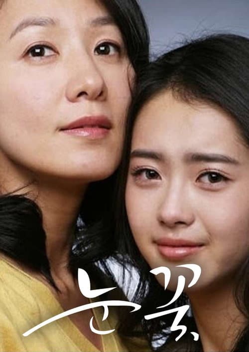 Snow Flower Season 1 poster