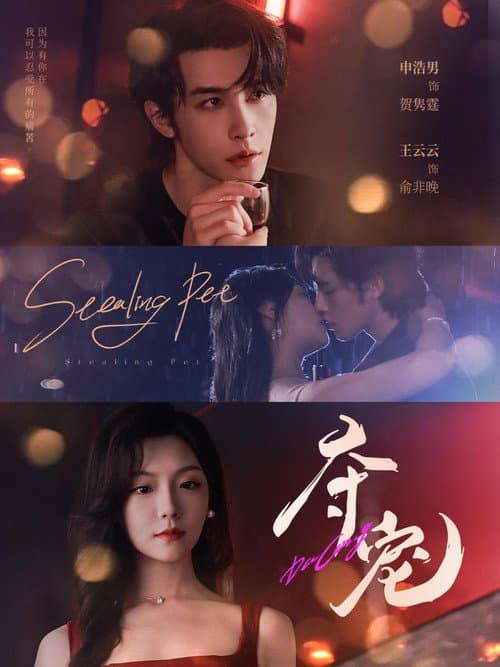 夺宠 Season 1 poster