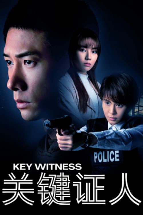Key Witness Season 1 poster