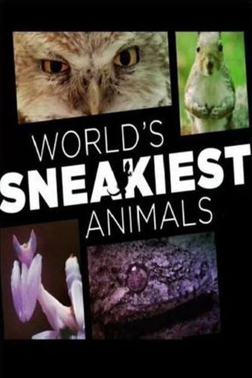 World's Sneakiest Animals Season 1 poster
