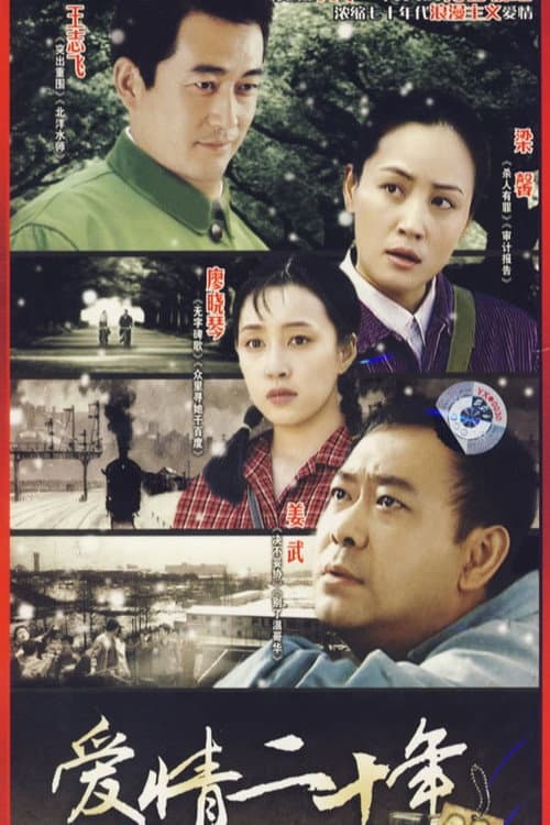 爱情二十年 Season 1 poster