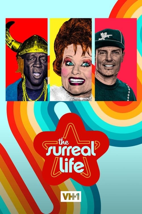 The Surreal Life Season 4 poster