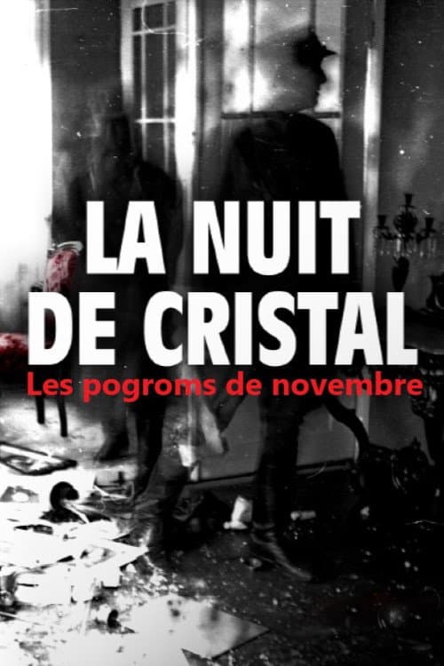 La Nuit de cristal : Les pogroms de novembre Season 1 poster
