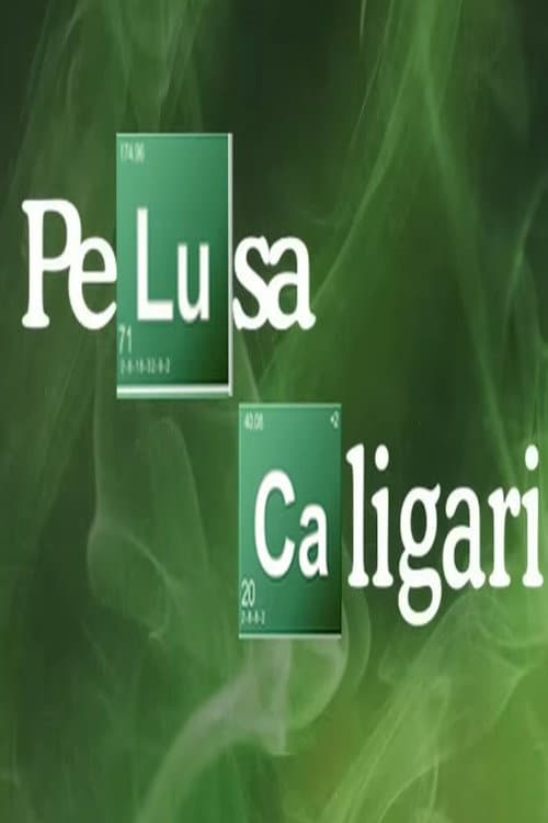 Pelusa Caligari Season 2 poster
